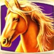 Stallion Kingdom: Selvaggio