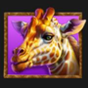 Stampede Gold: Giraffa