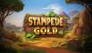 Stampede Gold (Betsoft)