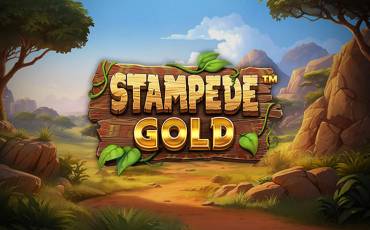 Slot Stampede Gold