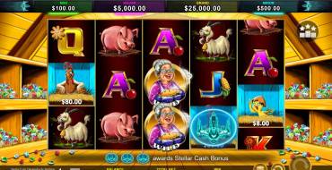 Stellar Cash Chicken Fox 5x Skillstar: Caratteristiche uniche