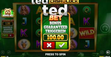 Ted Cash and Lock: Caratteristiche uniche