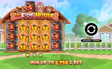 Slot The Dog House