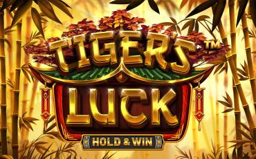 Slot Tiger's Luck Hold&Win