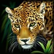 Totally Wild: Jaguar