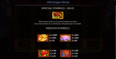 Wild Dragon Riches: Tabella dei pagamenti