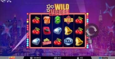 Wild Vegas: Interfaccia