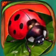 Wings of Riches: Coccinella