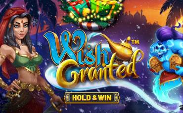 Slot Wish Granted — Hold&Win