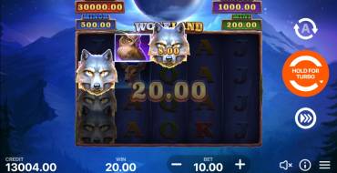 Wolf Land: Hold and Win: Vincite